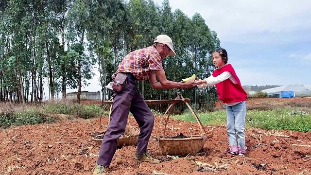 9岁农村女孩去地里找父亲，看见一个76岁大爷，做法让人暖心！