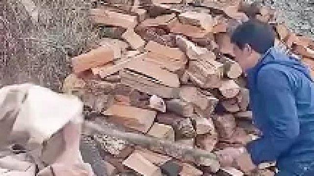 这种被咬到 就算治好了也是流口水的