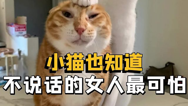 不说话的女人最可怕，小猫是一点也不敢动