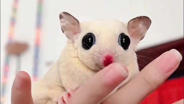 一不小心又吃胖了，得好好锻炼锻炼了。