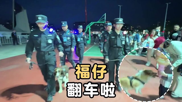 柯基福仔在线翻车，竟然抢群众烤肠