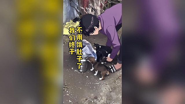 小哥每天都带着吃的，去投喂失去妈妈的一窝小狗