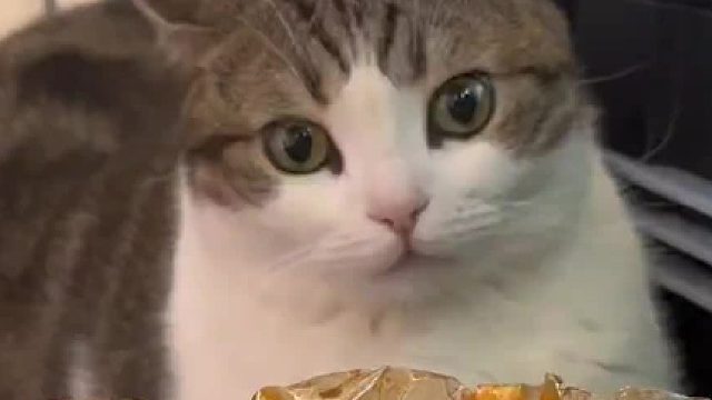 电视机有天线信号是好哈