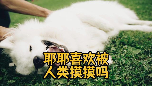 耶耶用生命演绎：人类的手，是我的快乐开关