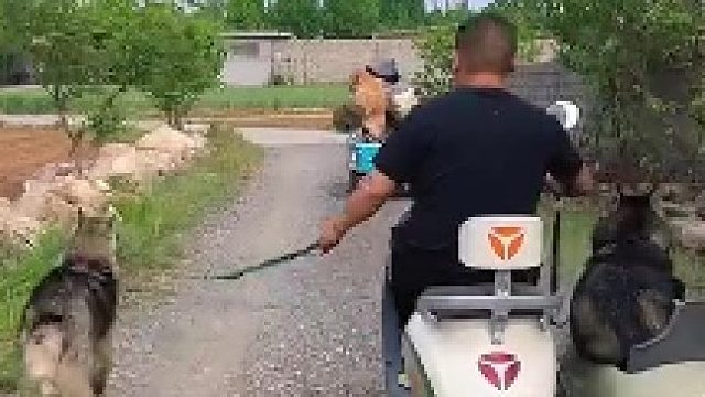 本来开开心心的