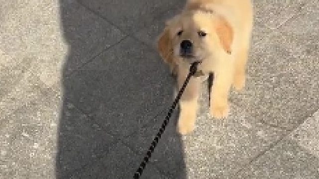 不走是吧  送你们了  爱谁要谁要吧