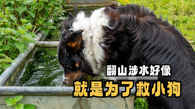 一切都是最好的安排，先生大义