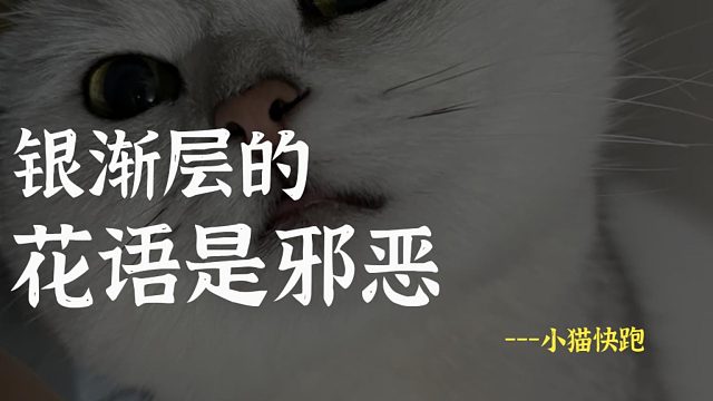 流浪猫的花语是手慢无，银渐层是邪恶