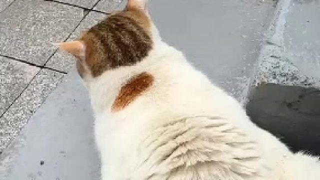 敏感肌启动开关