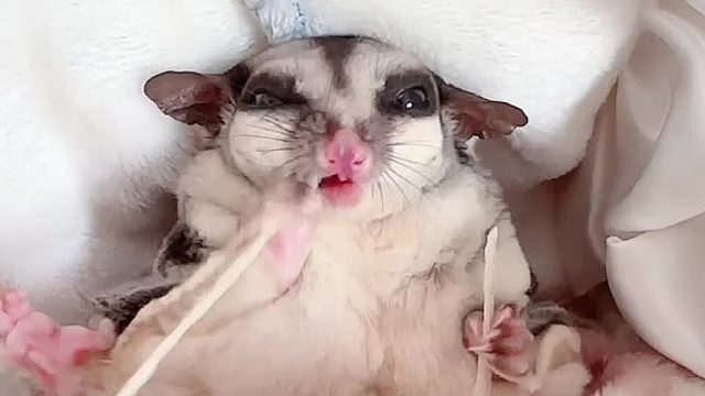 好像好忙的样子，恨不得多长一张嘴