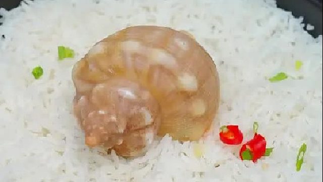 你们知道怎样分辨福寿螺和田螺吗？