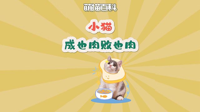 小猫成在肉肉，败也在肉肉