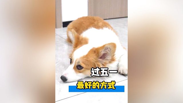 今天是五一最后一天，你们是怎么过的呢？