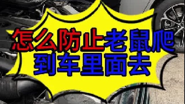 怎么阻止老鼠跑到车里面去 怎么阻止老鼠爬到车上来？