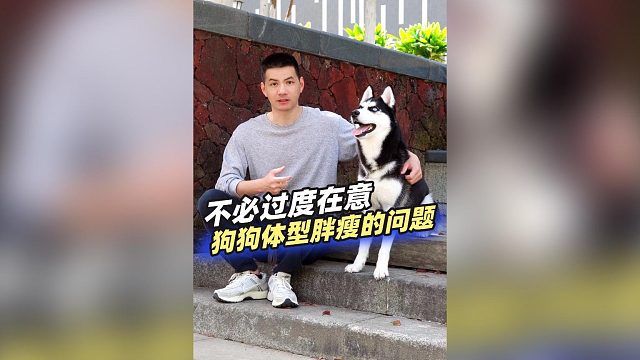 不必过度在意狗狗体型胖瘦的问题