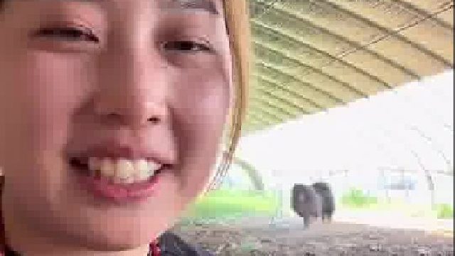 女子拍下自家“护卫犬”