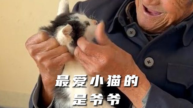 爷爷说着不养了，却一直在照顾小猫们
