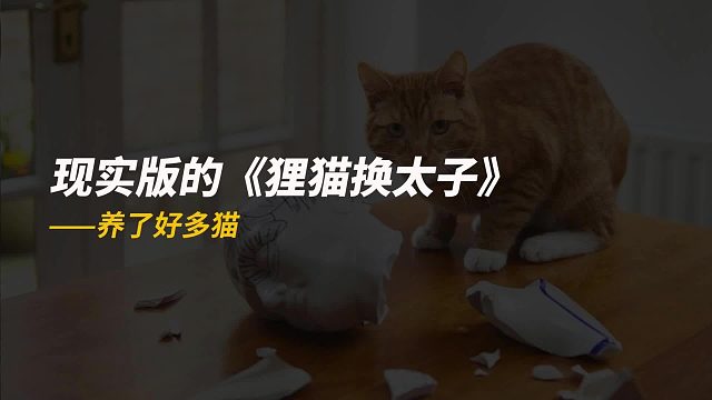 人家是狸猫换太子，这是大橘换奶牛