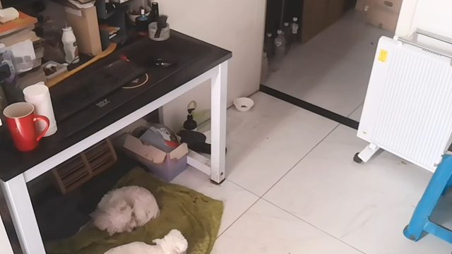 在家不要给我闯祸哦-片段2