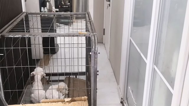 在家不要给我闯祸哦-片段3