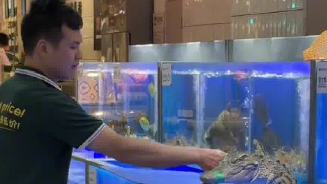 鳄鱼：A了我八下