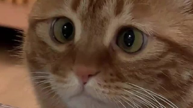 你听妈妈跟你说