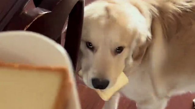 你够揍吗 你到底想干什么