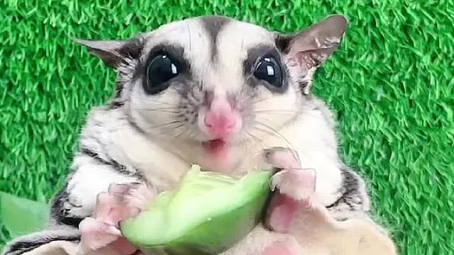 今天吃点清淡点的吧