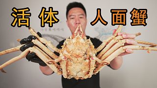 耗時(shí)五年只為吃這只人面蟹，到底值不值？