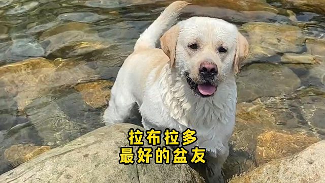 不愧是吃货，连洗澡也要带上饭盆！