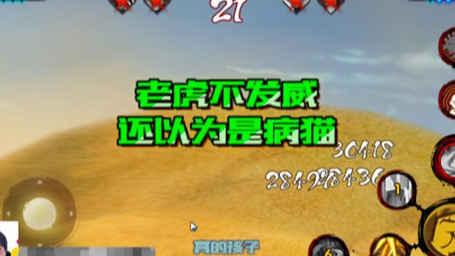 【太阳橙TYC】老虎不发威，还以为是病猫