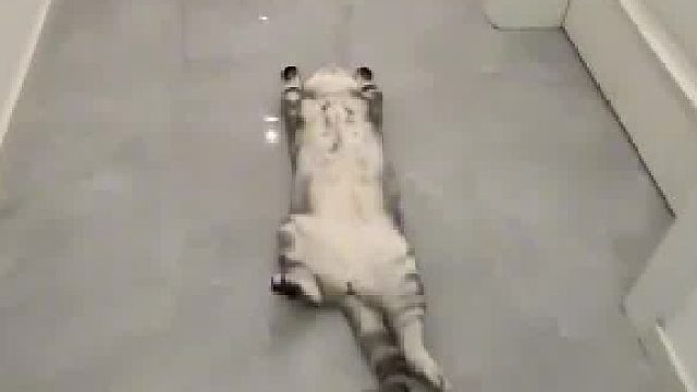 哈哈哈哈啊啊啊啊你这是来搞笑的吧