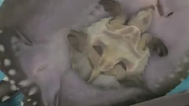 无聊吃个同事。