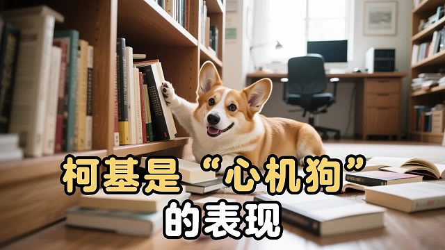 说出来你可能不信，柯基心里全是小心机