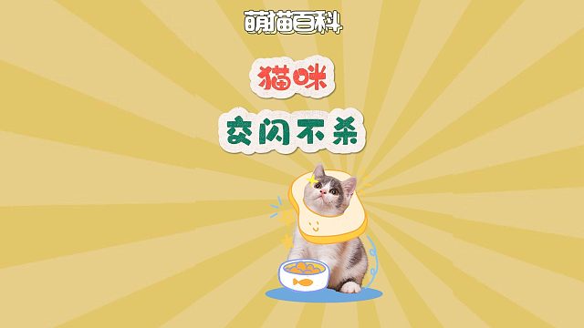 猫咪嗖一下就滑出去了，是要干甚去？
