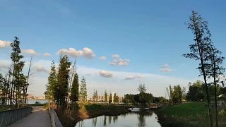 【Zarz蛋蛋】老蛋的精彩恐怖游戲視頻-24