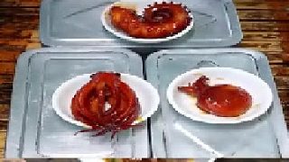 今天都是魷魚(yú)啊！你們會(huì)選哪個(gè)呢？
