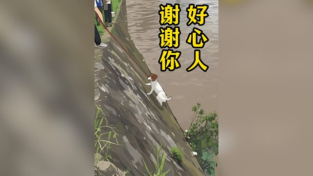 狗狗不慎掉落江边，被好心人救起！