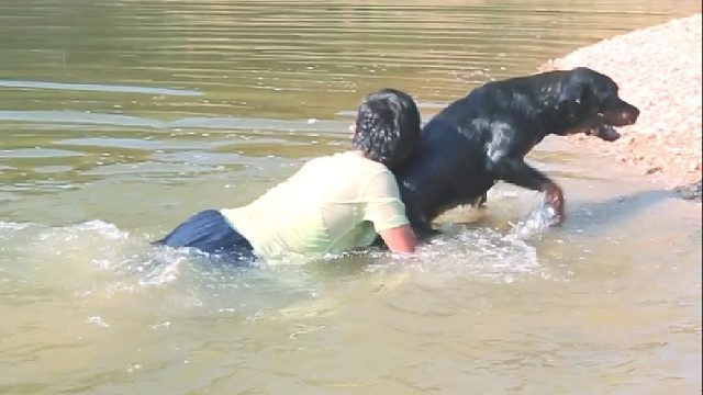 钓鱼不幸落水，幸得狗狗仗义相救。