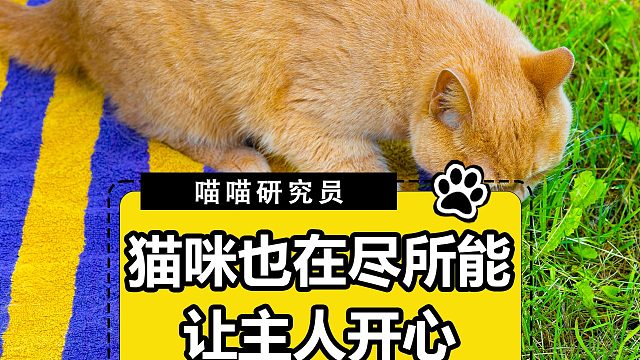 浓烈的爱意，能覆盖所有感官