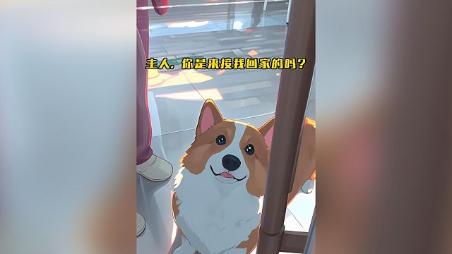 主人来看望时，狗狗的反应