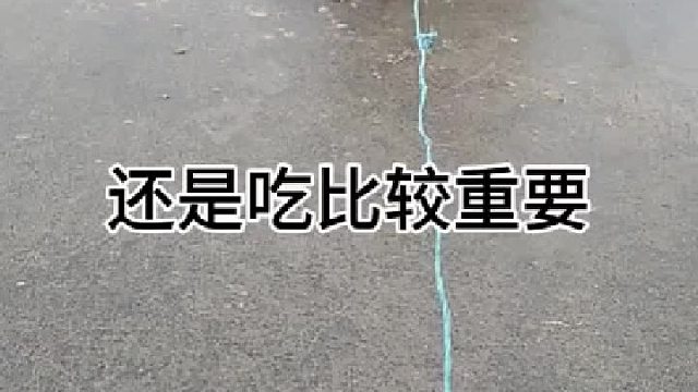 事已至此，先吃饱了再说 