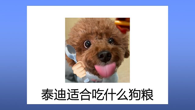 泰迪适合吃什么狗粮？怎么选靠谱？