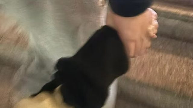 我家宝宝从未让我的小金库空过噢