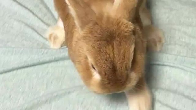 生气了，跳的真远