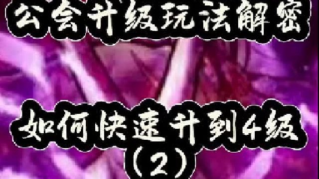 公会升级玩法解密，如何快速升到4级（2）
