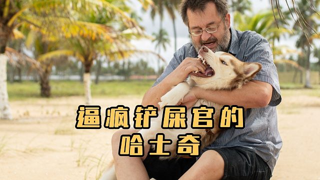 全网最名副其实的二哈，逼疯铲屎官！