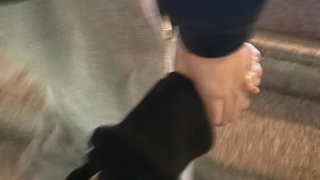 我的世界因为你而变得闪闪发光。