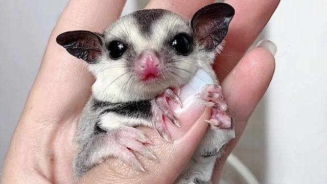 那只脚是想离家出走吗？