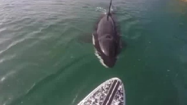 男子：今晚我就不回家吃饭了